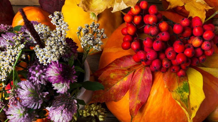 Colorful Harvest Festivals in Different Corners of the World